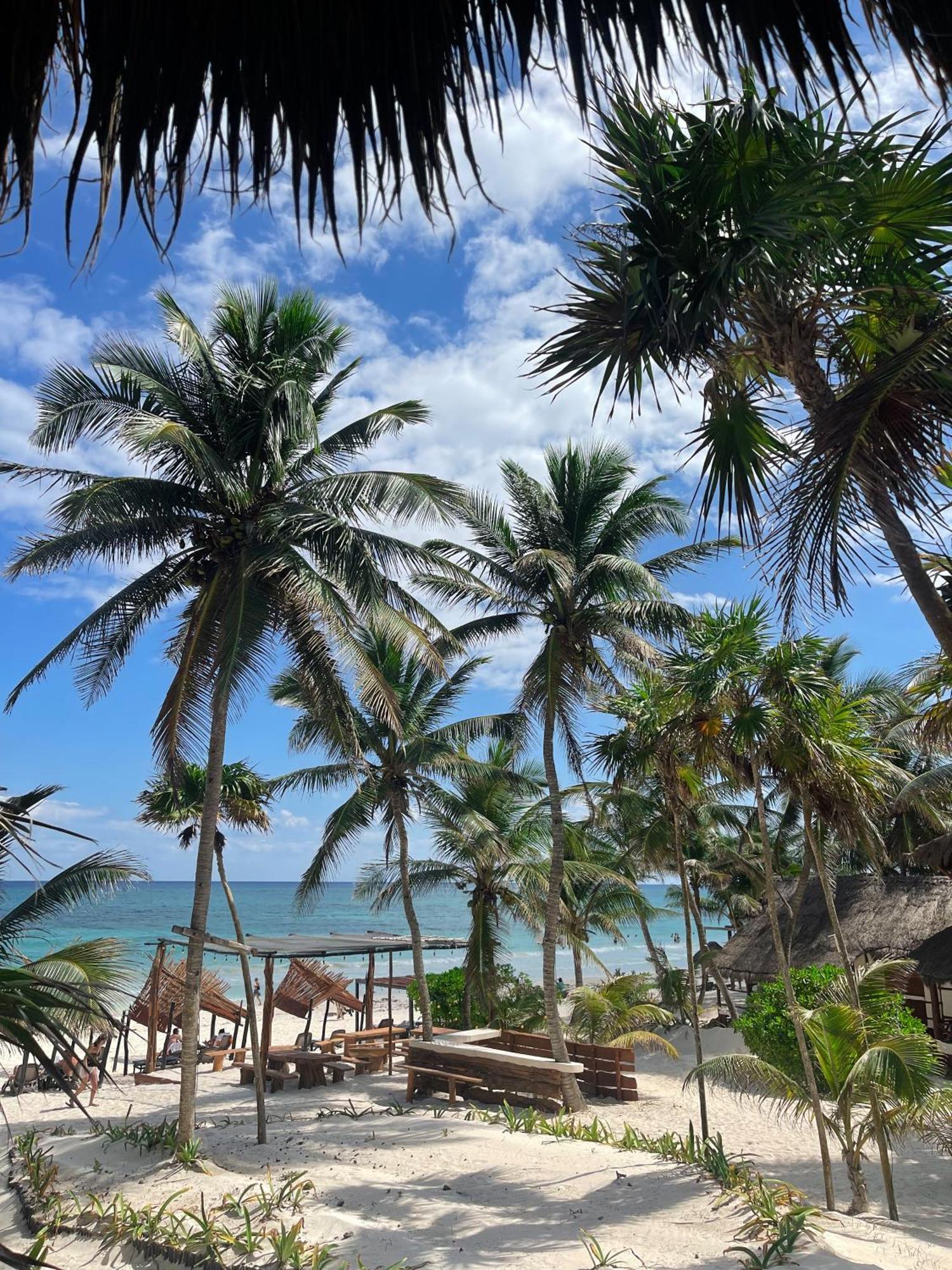 BT Live Tulum Hotel Exterior foto