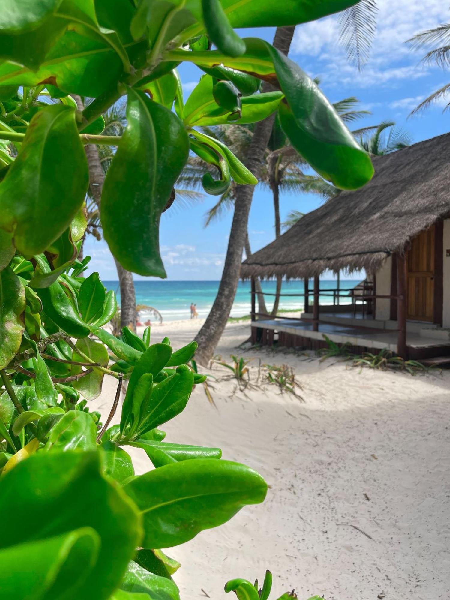 BT Live Tulum Hotel Exterior foto